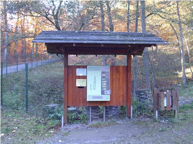 Der Futterautomat steht direkt am Dam- und Muffelgehege.